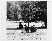 Students studying on lawn 